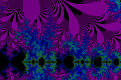 176220206538r4000x4000