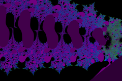 176220216654r4000x4000