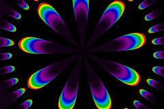 176220236086r4000x4000