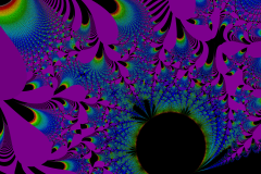 176220240078r4000x4000