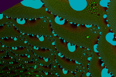 176220246284r4000x4000