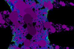 176220278521r4000x4000