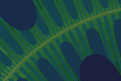 176341826761r4000x4000