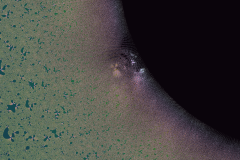 176341851654r4000x4000