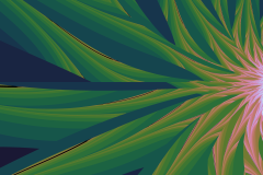 176341889835r4000x4000