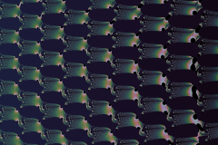 176341901023r4000x4000