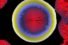 173600988618r4000x4000