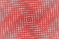 173638938776r4000x4000