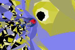 174170288312r4000x4000