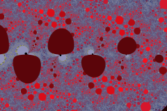 174170311314r4000x4000