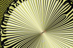 174170313527r4000x4000