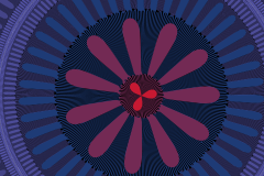 174170327094r4000x4000