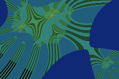 174521006012r4000x4000