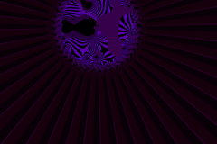 174788036435r4000x4000