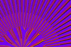 174788177024r4000x4000